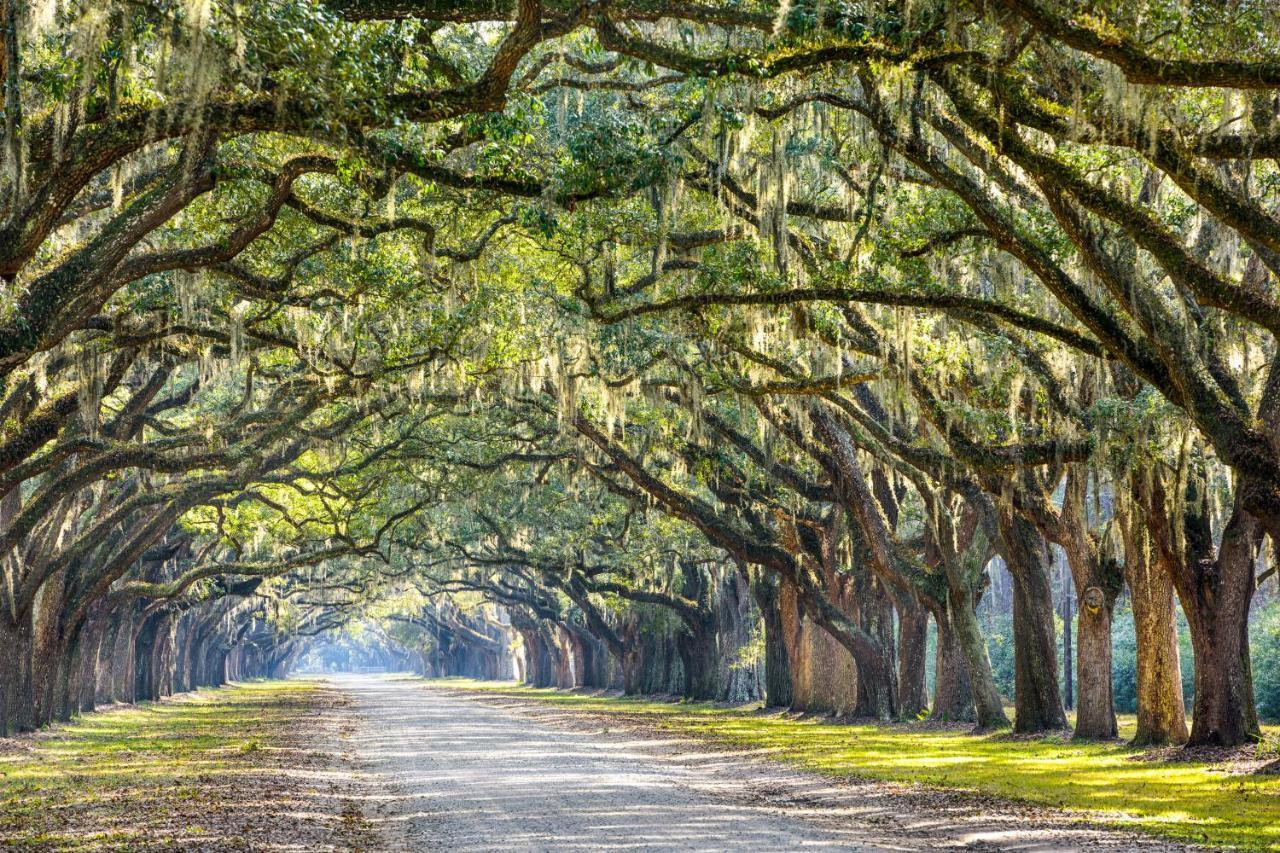 Silver Shores Tybee Island Exterior foto